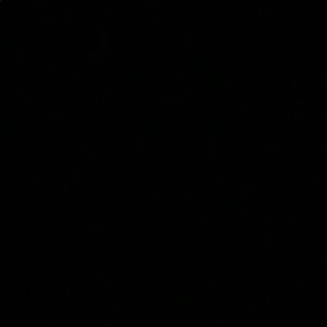 Meet your Posher, Sanaa